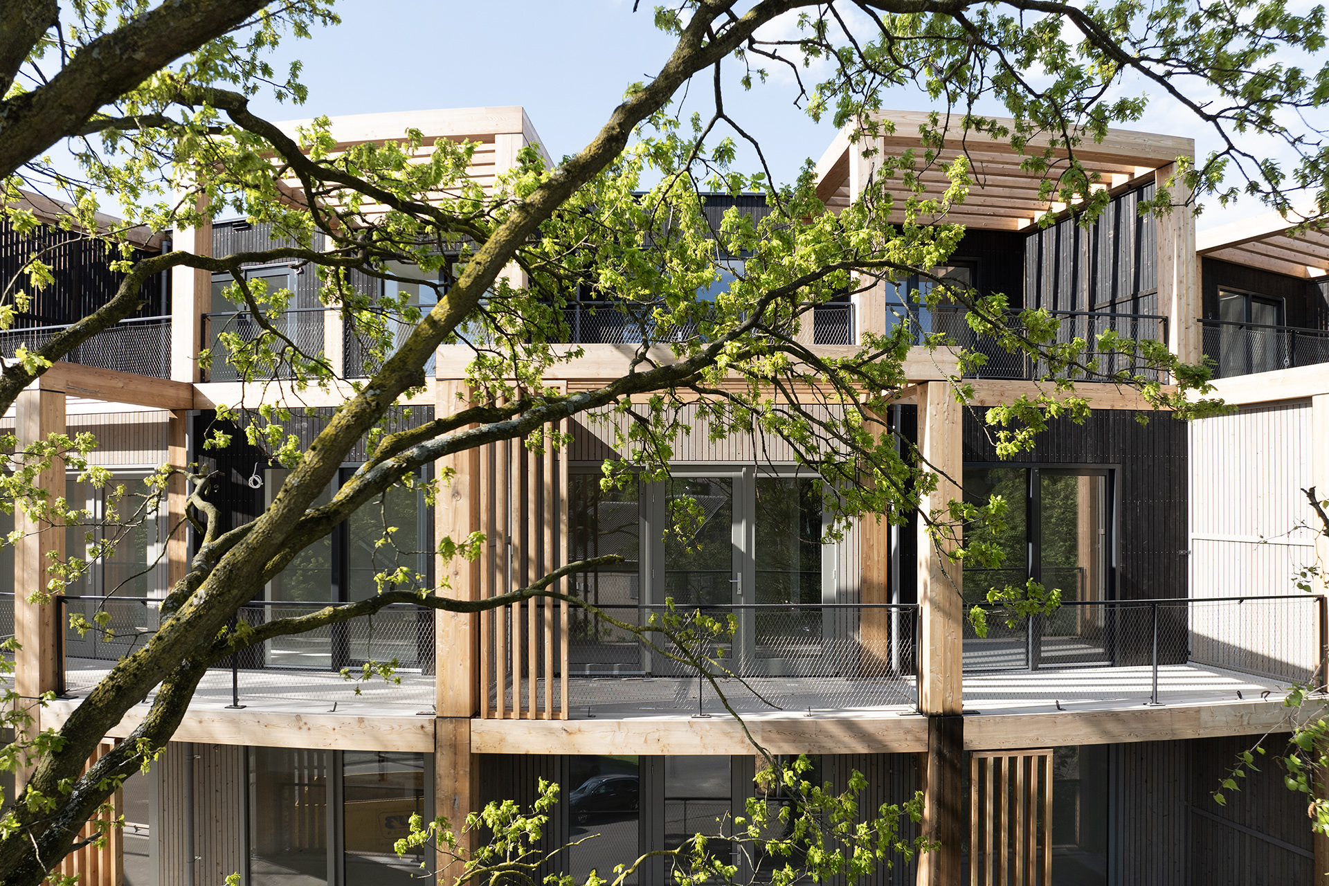 LEVS_ROOT3-foto LEVS architecten